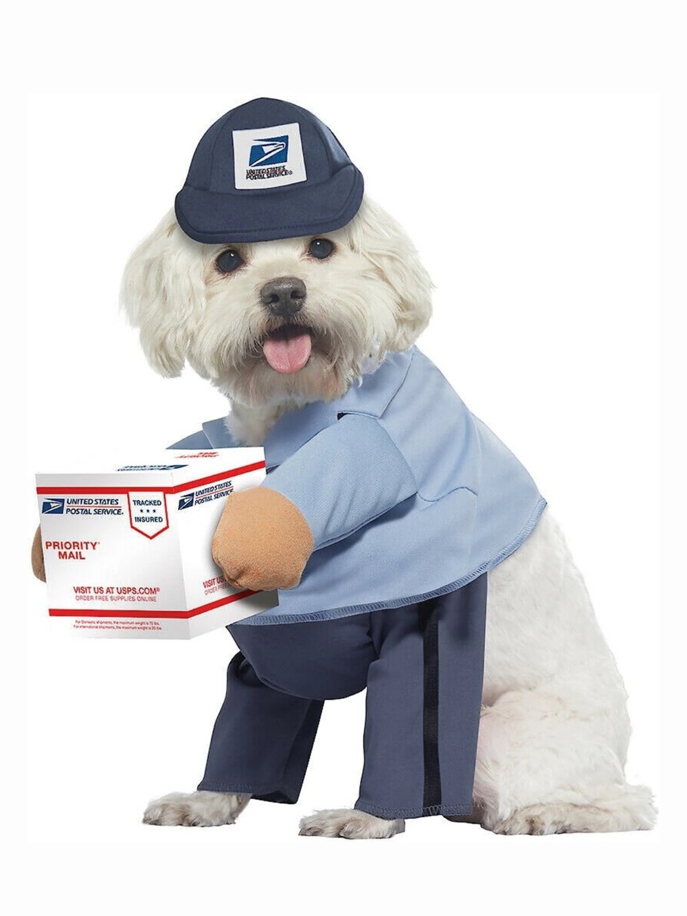 California Costumes Dog Mail Carrier Outfit in Light Blue and Navy - No Box!